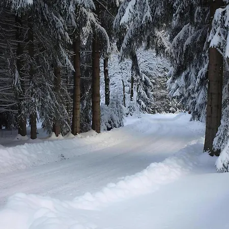 Holiday Complex Erzgebirge Idyll, Breitenbrunn Tatil Evi *